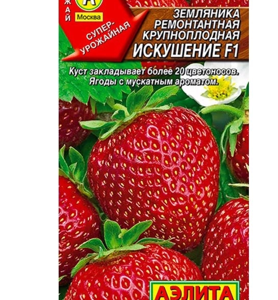Земляника Искушение Аэлита Ц