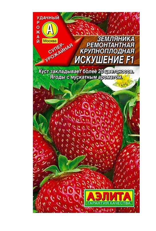 Земляника Искушение Аэлита Ц