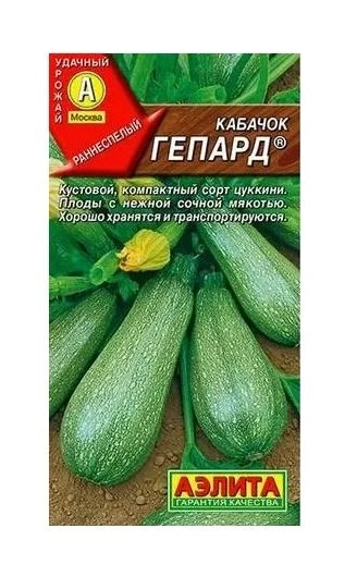 Кабачок Гепард Аэлита Ц