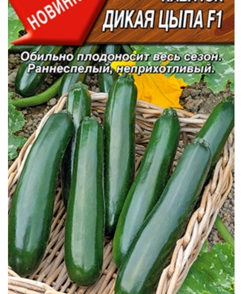 Кабачок Дикая цыпа Аэлита Ц