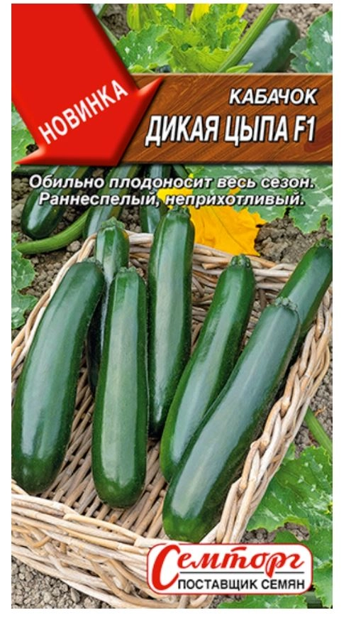 Кабачок Дикая цыпа Аэлита Ц