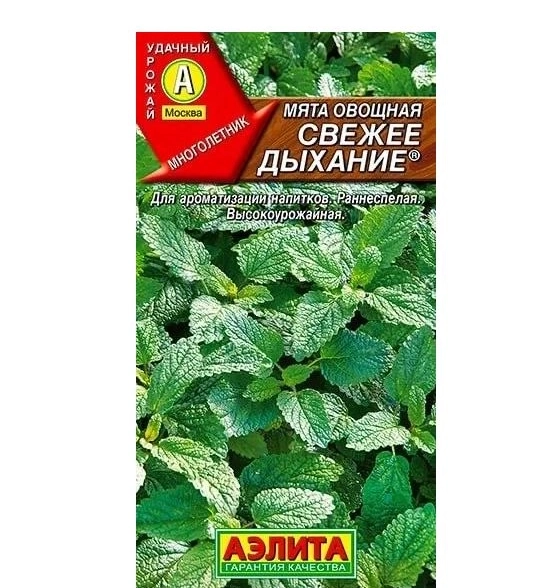 Мята Свежее дыхание Аэлита Ц