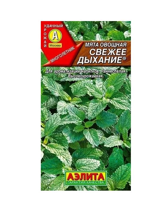 Мята Свежее дыхание Аэлита Ц