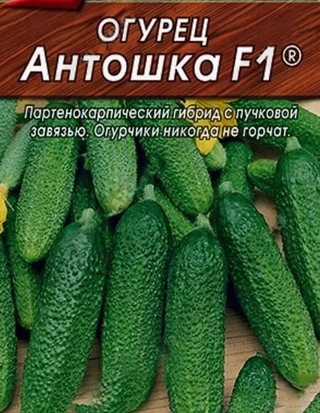 Огурец Антошка Аэлита Ц