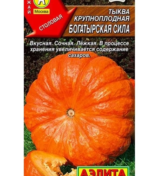 Тыква Богатырская сила крупноплодная Аэлита Ц