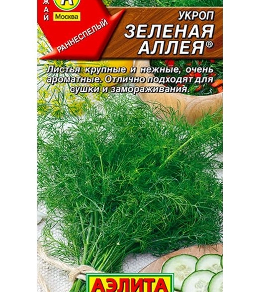 Укроп Зеленая аллея Аэлита Ц