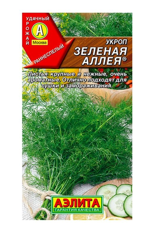Укроп Зеленая аллея Аэлита Ц