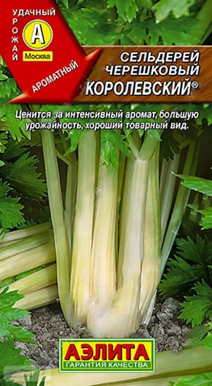 Сельдерей черешковый Королевский Аэлита Ц
