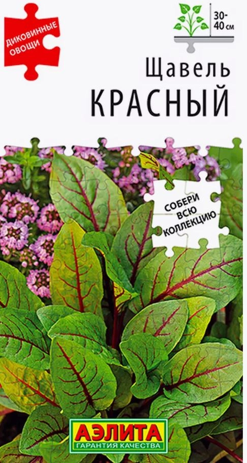 Щавель Красный Аэлита Ц