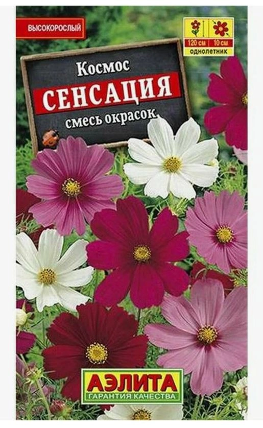 Космос Сенсация дваждыперистый Аэлита Ц