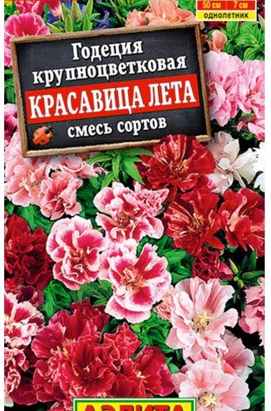 Годеция Красавица лета крупноцветковая, смесь окрасок 0.3г