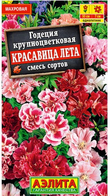 Годеция Красавица лета крупноцветковая, смесь окрасок 0.3г