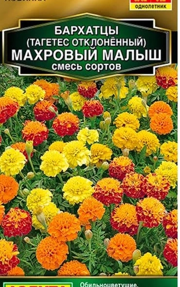 Бархатцы Махровый малыш смесь Аэлита Ц