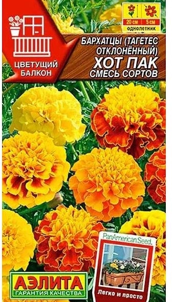 Бархатцы Хот пак Аэлита Ц