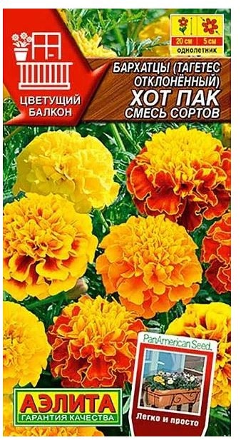 Бархатцы Хот пак Аэлита Ц