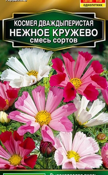 Космея Нежное кружево Аэлита Ц