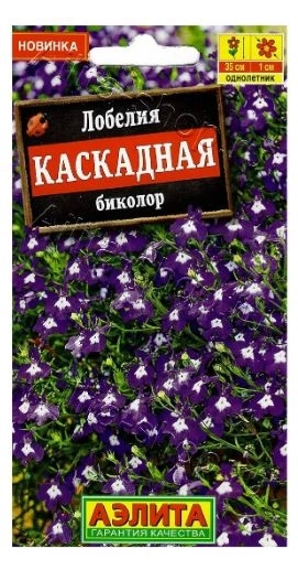 Лобелия Каскадная биколор Аэлита Ц х10