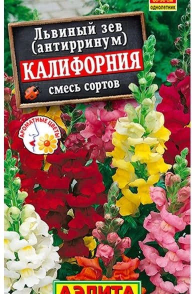 Львиный зев Калифорния смесь Аэлита Ц