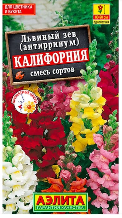 Львиный зев Калифорния смесь Аэлита Ц