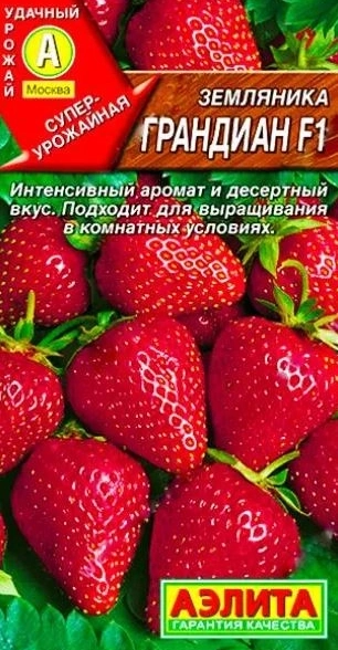 Земляника Грандиан ремонтантная крупнопл Аэлита Цx10