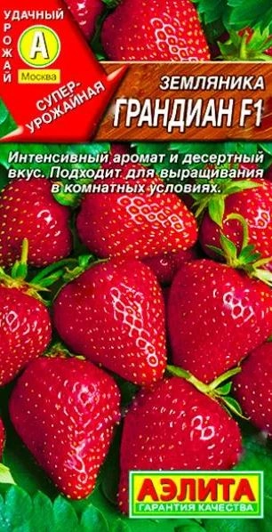 Земляника Грандиан ремонтантная крупнопл Аэлита Цx10