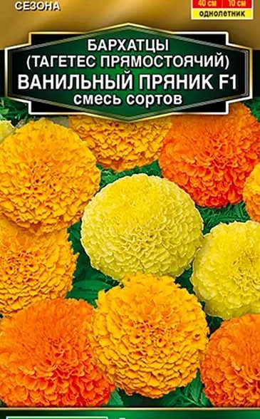 Бархатцы Ванильный пряник Аэлита Ц