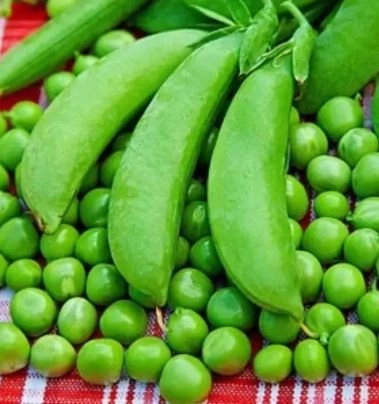 Горох Крошки-горошки 25г Аэлита Ц