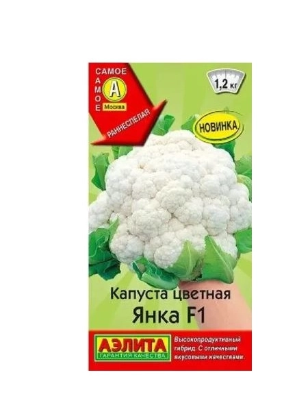 Капуста цветная Янка Аэлита Ц