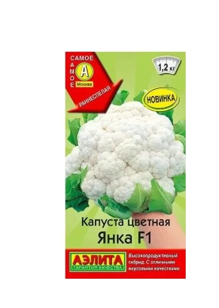 Капуста цветная Янка Аэлита Ц