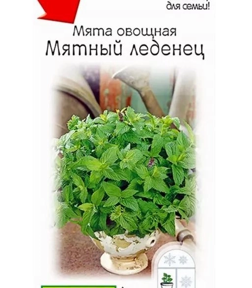 Мята Мятный леденец Аэлита Ц
