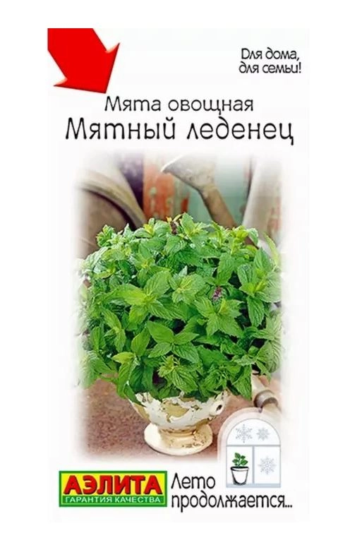 Мята Мятный леденец Аэлита Ц