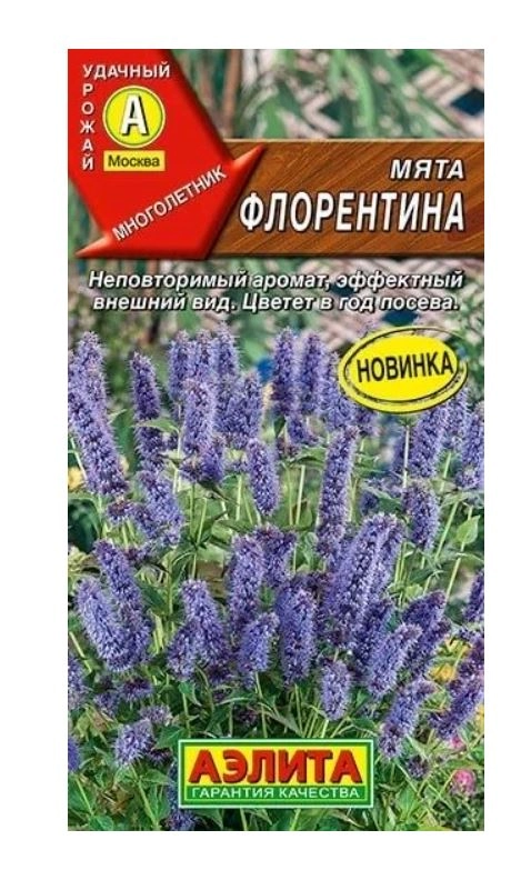 Мята Флорентина Аэлита Ц