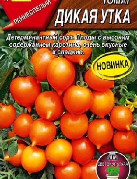 Томат Дикая утка Аэлита Ц