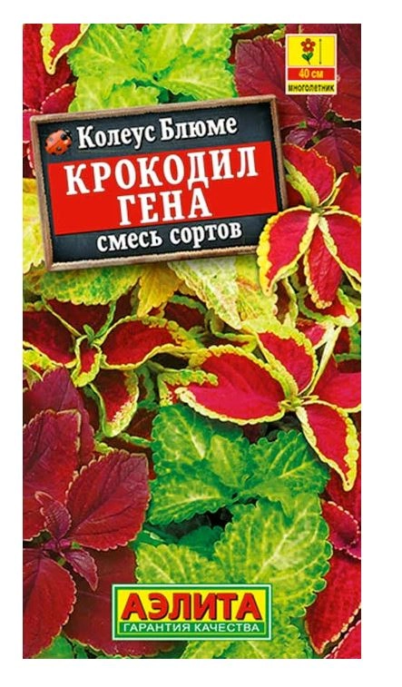 Колеус блюме Крокодил Гена Аэлита Ц