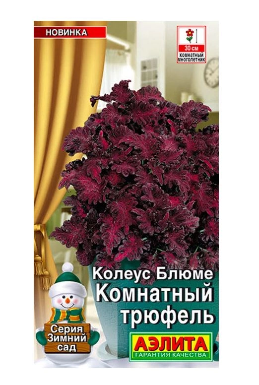 Колеус комнатный Трюфель Аэлита Ц