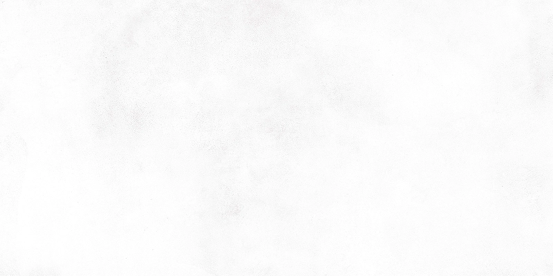 Плитка настенная Конор белый/Konor White 25*50 WT9KON00