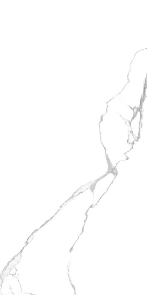 Керамогранит Мрамор/Marmo 60*120 бел 0203MR-image-1