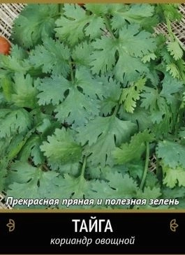 Кориандр Тайга (А) 300466