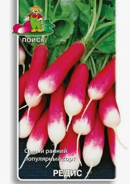 Редис 18 дней 440802