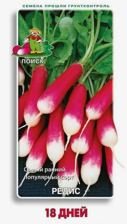 Редис 18 дней 440802