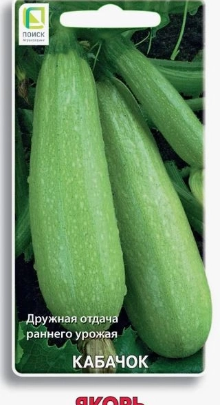 Кабачок Якорь (ЦВ) 12шт.