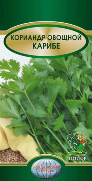 Кориандр овощной Карибе (ЦВ) 3гр