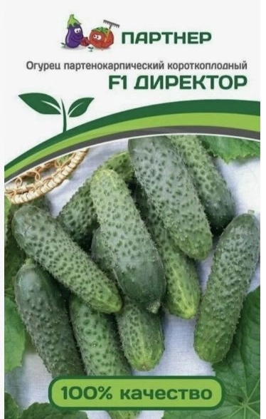Огурец Директор F1 (ЦВ*) 5шт.