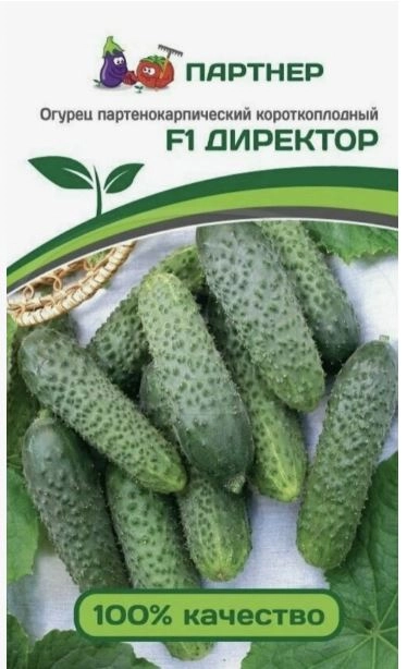 Огурец Директор F1 (ЦВ*) 5шт.