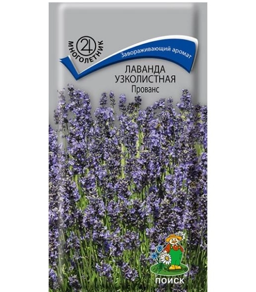 Лаванда узколистная Прованс 0,1гр