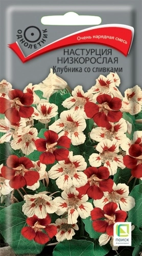 Настурция низкорослая Клубника со сливками 1гр.