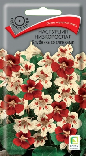 Настурция низкорослая Клубника со сливками 1гр.