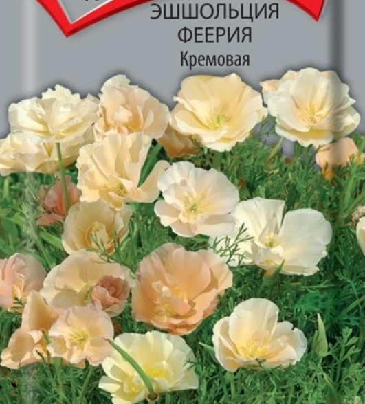 Эшшольция Феерия Кремовая ЦВ 0,1гр