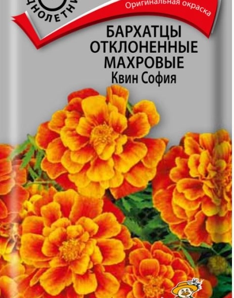 Бархатцы махровые отклон. Квин София ЦВ 0,4гр.