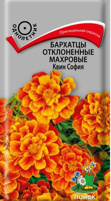 Бархатцы махровые отклон. Квин София ЦВ 0,4гр.